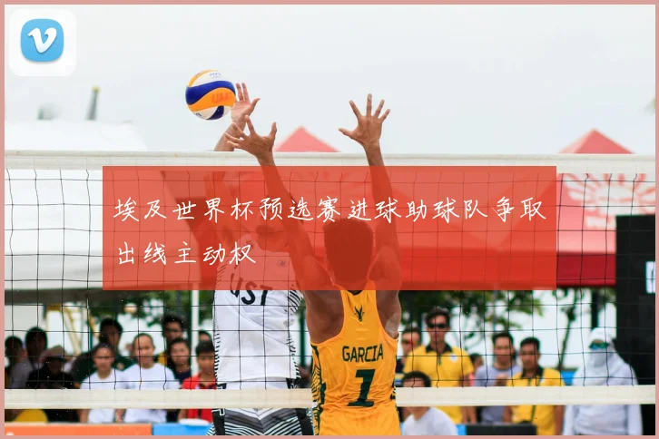 埃及世界杯预选赛进球助球队争取出线主动权