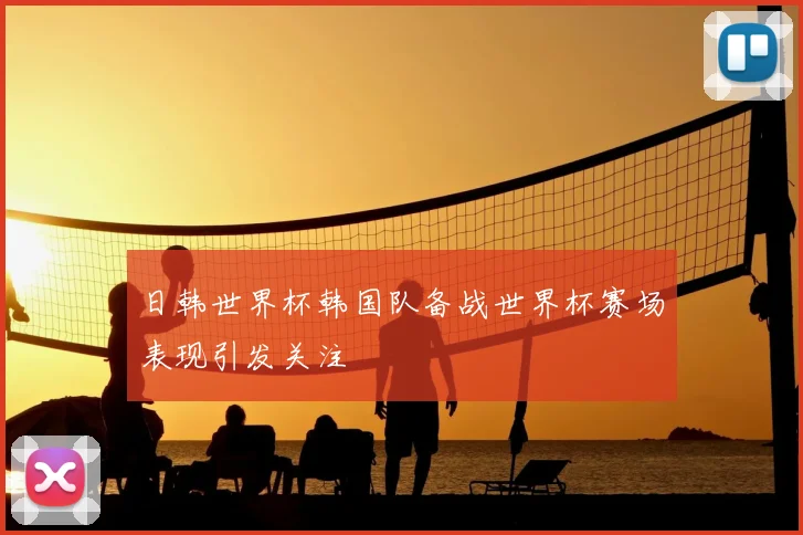 日韩世界杯韩国队备战世界杯赛场表现引发关注