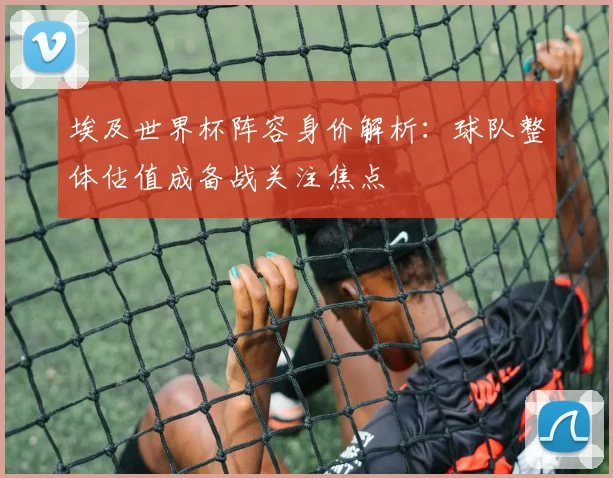 埃及世界杯阵容身价解析：球队整体估值成备战关注焦点