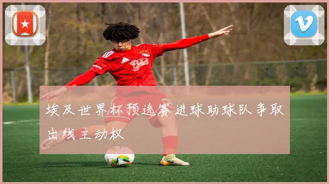 埃及世界杯预选赛进球助球队争取出线主动权