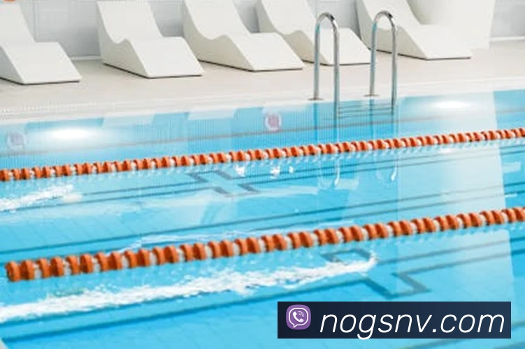 App Interface Preview